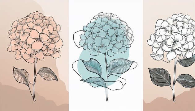 Minimalistic Floral One Line Drawing Hand Drawn Hydrangea Flower Line Art Abstract Shapes Print Design Vector Isolated Collection