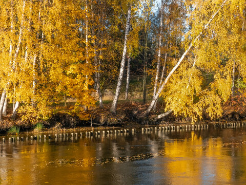 Autumn landscape along the Kymi River in the Finland