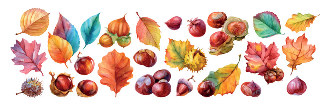 Autumn harvest collection displaying watercolor painted foliage, various tree leaves, horse chestnuts, sweet chestnuts, and acorns, symbolizing fall season and natural abundance