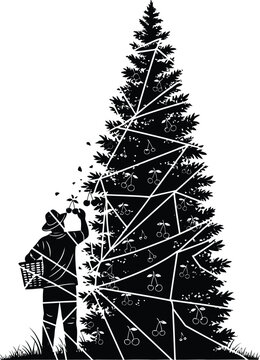 Black and white vector silhouette illustration of a male farmer picking ripe cherries from a large tree isolated on white background