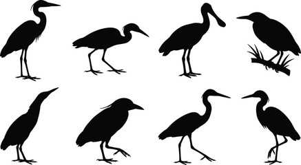 Obraz premium WebSet of wading bird silhouettes including heron egret spoonbill and bittern icons for wildlife and nature themes