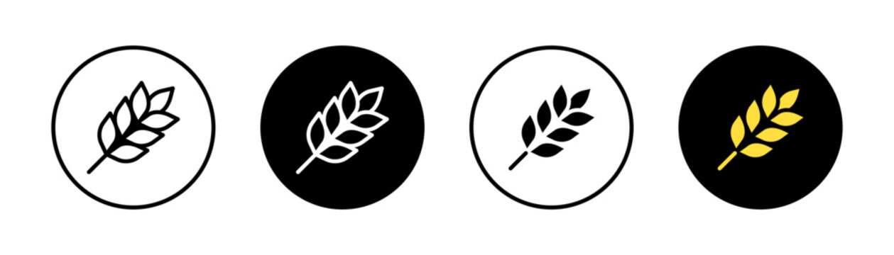 Wheat icon with durum wheat pasta label, bakery logo and healthy cereal symbol vector design