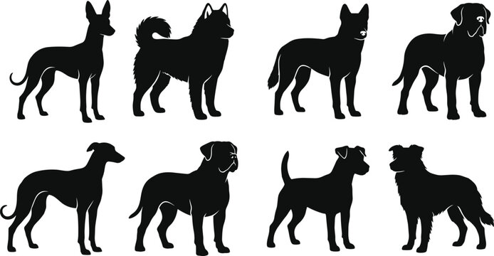 WebCollection of professional black dog breed silhouettes including husky shepherd and mastiff isolated on white background