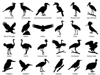 Obraz premium African Bird Silhouettes Collection: Secretary Bird, Hornbill, Eagle, Crane, Ostrich