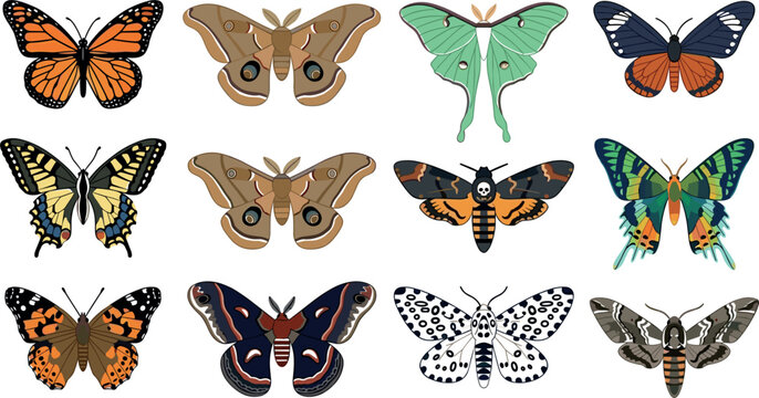 Vintage Butterfly and Moth Vector Icon Set Featuring Monarch, Luna Moth, and Deaths Head Hawkmoth Illustrations for Nature and Botanical Designs