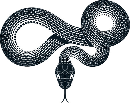 Detailed black silhouette snake symbol winding in a curved abstract pattern with silhouette wildlife illustration creature poisonous dangerous abstract minimalist predator venomous isolated