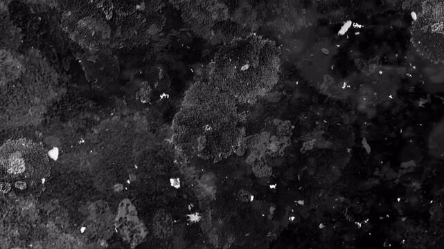 Abstract dark grunge texture with flickering particles motion.
