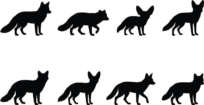 Fox silhouettes set including red fox fennec fox and arctic fox in standing and walking poses