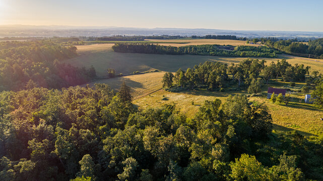 Aerial view of rolling farmland, lush green forests, and scattered farm buildings under the soft golden light of late afternoon in Silverton, Oregon, United States.