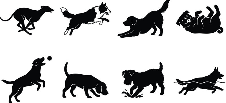 Set of active dog silhouettes playing running jumping catching a ball and swimming isolated on white background