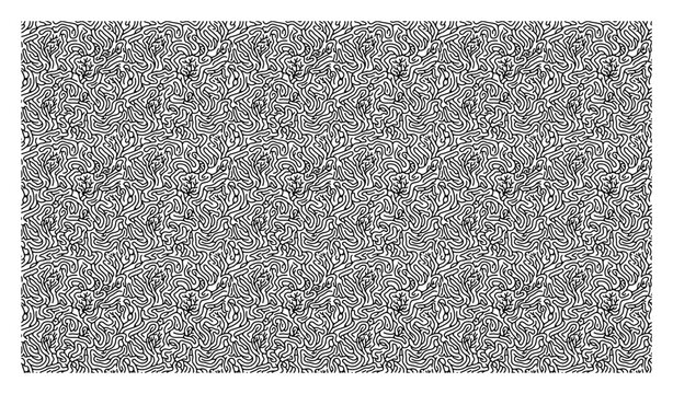 Organic labyrinth pattern with fluid squiggly lines and coral texture