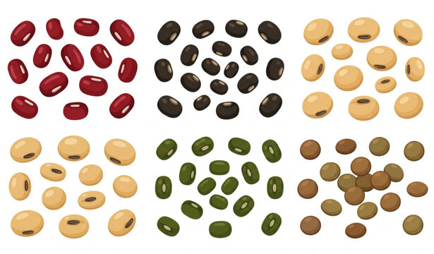 Mixed Legume Seeds Vector Set EPS 10 Organic Bean Collection Isolated on White