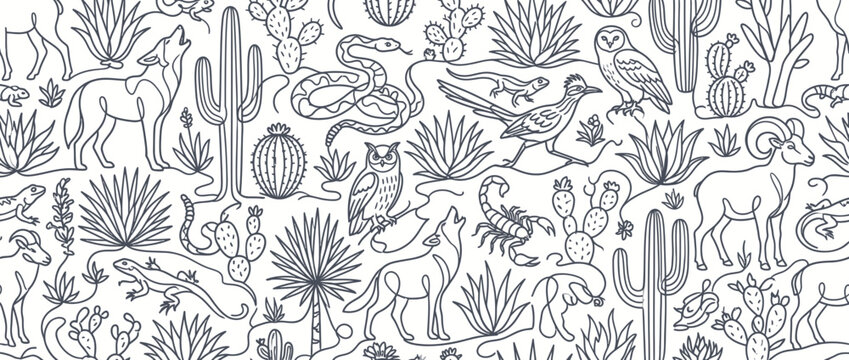 Desert wildlife coyote cactus owl line art pattern