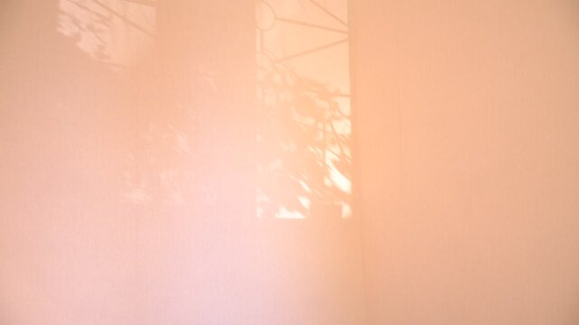 Shadow of big arched window. Window and sunlight, moving shadows on pink coral background with casting floral shadows. Minimal vintage interior decoration. Autumn style aesthetics

