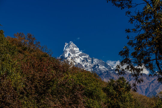 Iconic view of Machapuchare, also known as Fishtail Mountain, rising dramatically in the Annapurna region of the Himalayas in Nepal. The sacred peak is easily recognized by its distinctive twin-summit