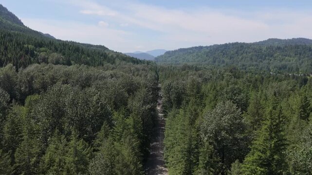 Aerial View of a Remote Dirt Road Through a Lush Forest in British Columbia, Canada