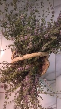 Natural Remedy and Holistic Medicine Dried Pennyroyal Herb
