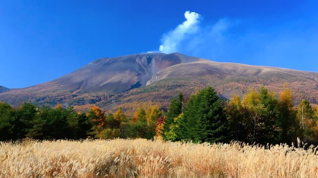 秋のススキと噴火している浅間山