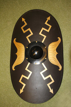 Escudo gladiador guerrero medieval protecci&oacute;n lucha protector pelea defensa arma 