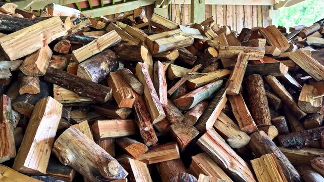 Stacked firewood logs piled high inside a rustic wooden storage shed or barn