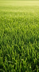Obraz premium A perfect, manicured expanse of vibrant green lawn grass, viewed closely, showcasing rich texture and healthy growth under daylight, landscape, natural, dense