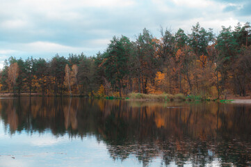 Obraz premium autumn trees reflected in water