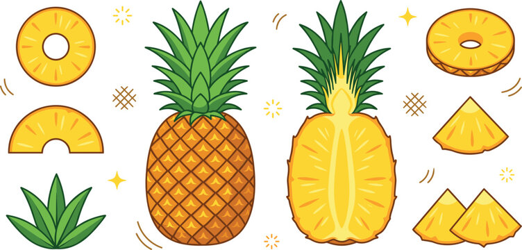 Tropical pineapple fruit vector collection featuring whole sweet pineapple, half slice cut, round rings, wedges, chunks and green tuft crown isolated on white background