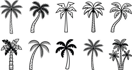 Fototapeta premium Various styles of palm trees isolated on white background