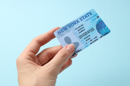 Woman holding driver's licence on light blue background, closeup