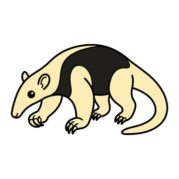 Southern Tamandua aka Lesser Anteater