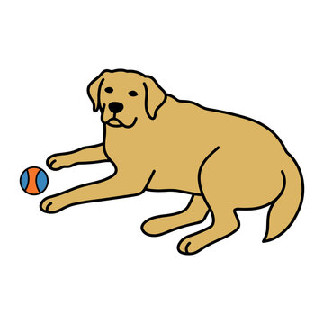 Yellow Lab with Ball