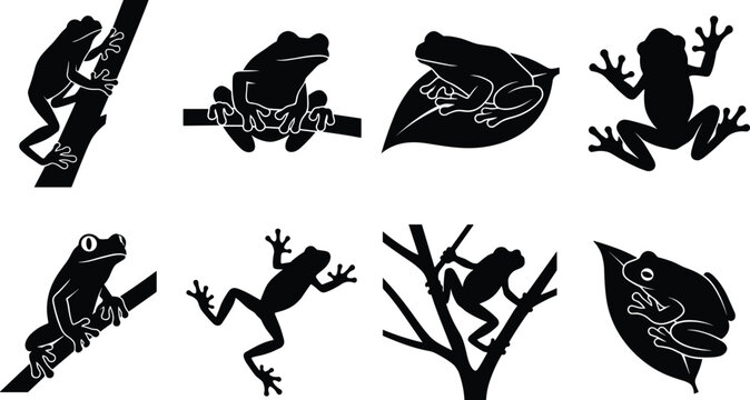 Frog Silhouettes Collection with Tree Frogs Climbing and Resting Isolated on White Background