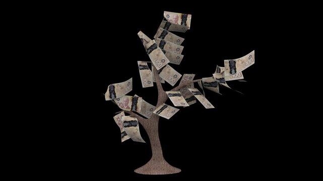 3d animation of a money tree with 100 canadian dollar banknotes blowing in the wind on a black background.
