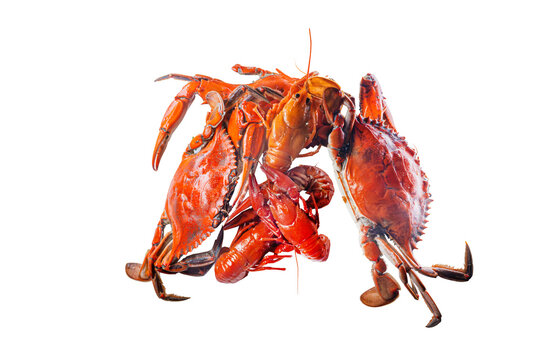 Boiled Red Crabs and Crayfish Isolated on White Background