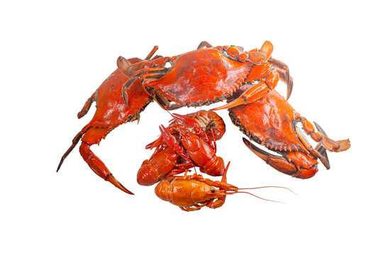 Boiled Red Crabs and Crayfish Isolated on White Background
