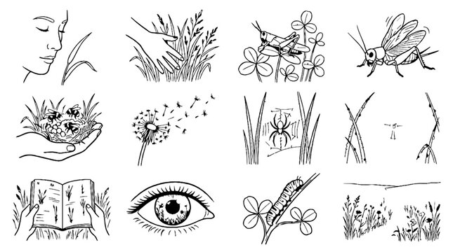 Hand drawn nature and insect sketches collection featuring grasshoppers spiders caterpillars and human interaction with plants.