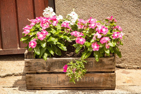 Una caja de madera con flores naturales sus vetas visibles, su tacto c&aacute;lido y ese aire artesanal se convierte en un peque&ntilde;o escenario donde las flores naturales respiran y se expanden.