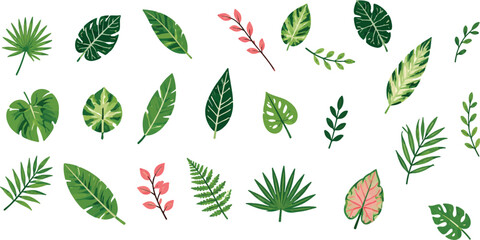 Fototapeta premium Set of colorful tropical leaves and plants