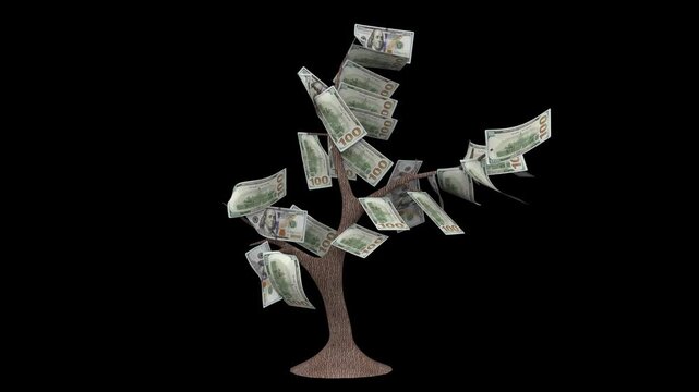 3d animation of a money tree with 100 us dollar banknotes blowing in the wind on a black background.