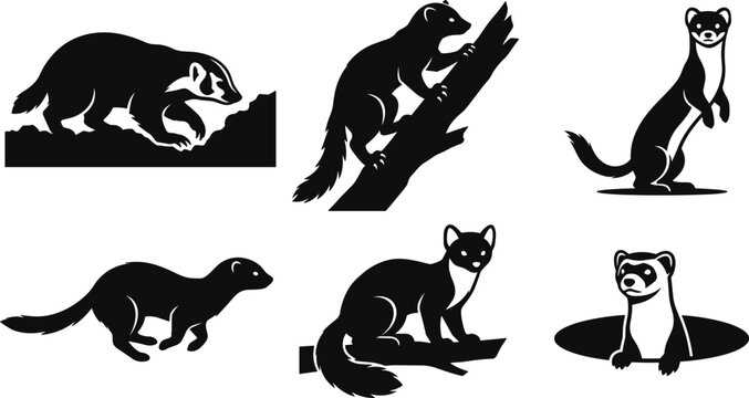 Ferret and Weasel Silhouette Vector Set Featuring Mustelid Animal Icons for Wildlife Logo Design, Nature Graphics, and Outdoor Branding Illustrations
