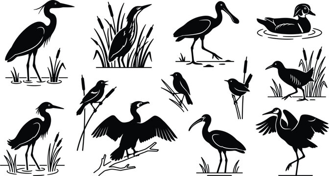 Wetland and Marsh Bird Silhouette Vector Set Featuring Heron, Egret, Cormorant, Ibis, Spoonbill, and Reed Songbird Icons for Wildlife Logo Designs