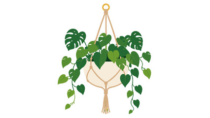 Hanging houseplant in macrame planter with trailing green leaves © Andrei