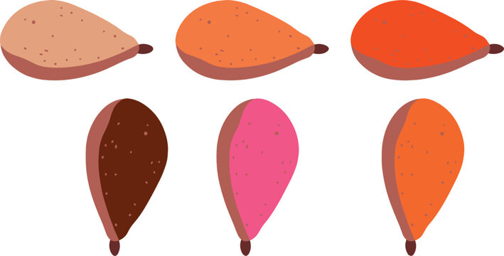 Chicken breast vector graphic icon set with colorful raw poultry fillets, flat design butcher shop meat elements for diverse recipe variations, gourmet food packaging illustration collection