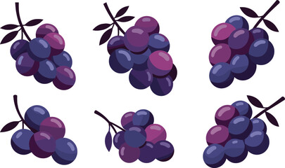 Grapes vector illustration set featuring purple bunches with stems, flat style organic berry icons, fresh vineyard agricultural harvest graphic element © suborna
