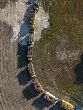 Aerial view of trucks loaded with sugarcane waiting in a line at the Madukismo Sugar Factory in Kecamatan Kasihan, Daerah Istimewa Yogya, Indonesia.