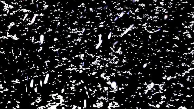 桜の花びらが流れる川面と桜吹雪