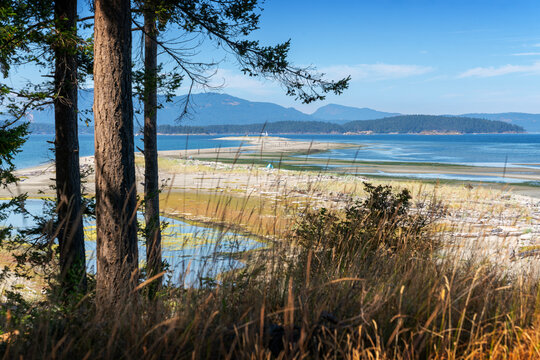 Sidney Spit Low Tide Haro Strait on Vancouver Island. The view of the Sidney Spit at low tide on Sidney Island near Victoria. Part of the Gulf Islands National Park Reserve of Canada.
