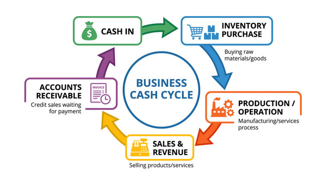 Business Cash Cycle Diagram Illustration for Financial Processes.