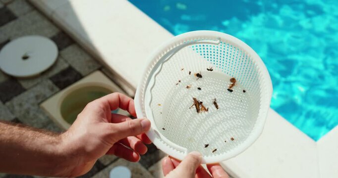 Close-up of a pool filter basket containing collected debris during maintenance.