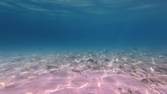 Underwater view of exceptionally clear seawater along the Croatian Adriatic coast. Natural marine landscape with a sandy seabed, sunlight reflections, and pristine water quality.